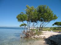 Mittagessen und Badeaufenthalt auf der Insel Cayo Blanco de Zaza