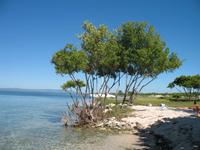 Mittagessen und Badeaufenthalt auf der Insel Cayo Blanco de Zaza