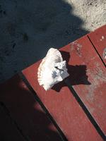 Mittagessen und Badeaufenthalt auf der Insel Cayo Blanco de Zaza