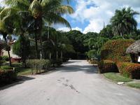 Mittagessen im Restaurant 