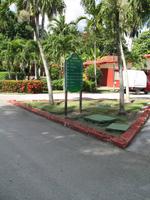 Mittagessen im Restaurant 