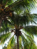 Mittagessen im Restaurant 