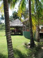 Mittagessen im Restaurant 