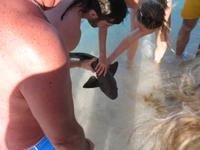 All-Inklusive-Aufenthalt im Hotel Memories Paraiso Beach Resort in Cayo Santa María