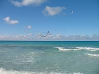 All-Inklusive-Aufenthalt im Hotel Memories Paraiso Beach Resort in Cayo Santa María