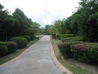 All-Inklusive-Aufenthalt im Hotel Memories Paraiso Beach Resort in Cayo Santa María