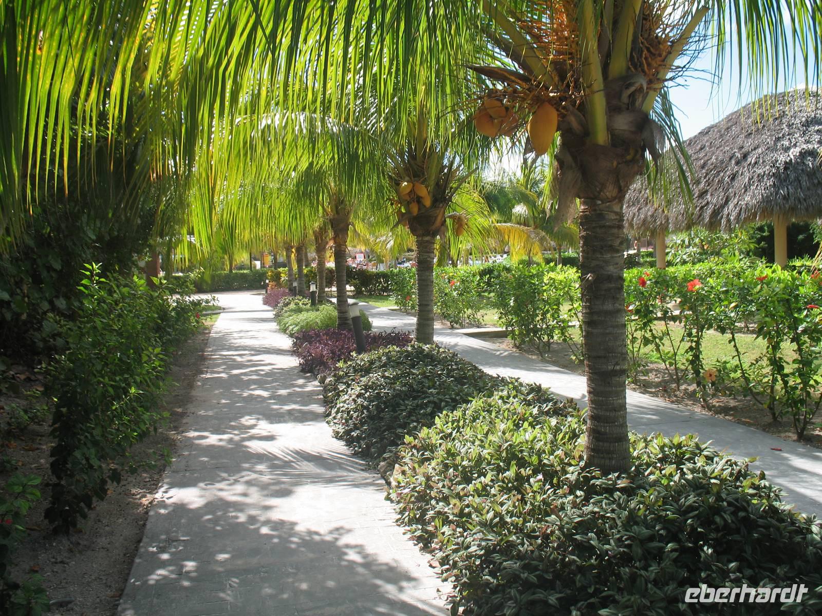 All-Inklusive-Aufenthalt im Hotel Memories Paraiso Beach Resort in Cayo Santa María