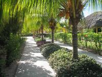 All-Inklusive-Aufenthalt im Hotel Memories Paraiso Beach Resort in Cayo Santa María