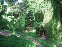 Oldtimerfahrt durch Havanna