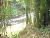 Oldtimerfahrt durch Havanna