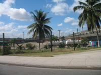 Oldtimerfahrt durch Havanna