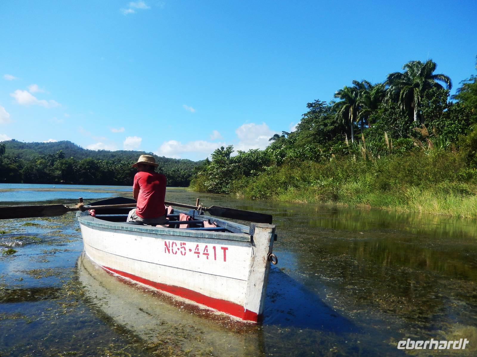 unsere fleißigen Bootsfahrer