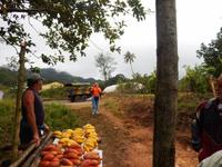 Bauer in Topes Collantes