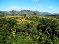 die Mogotes von Vinales