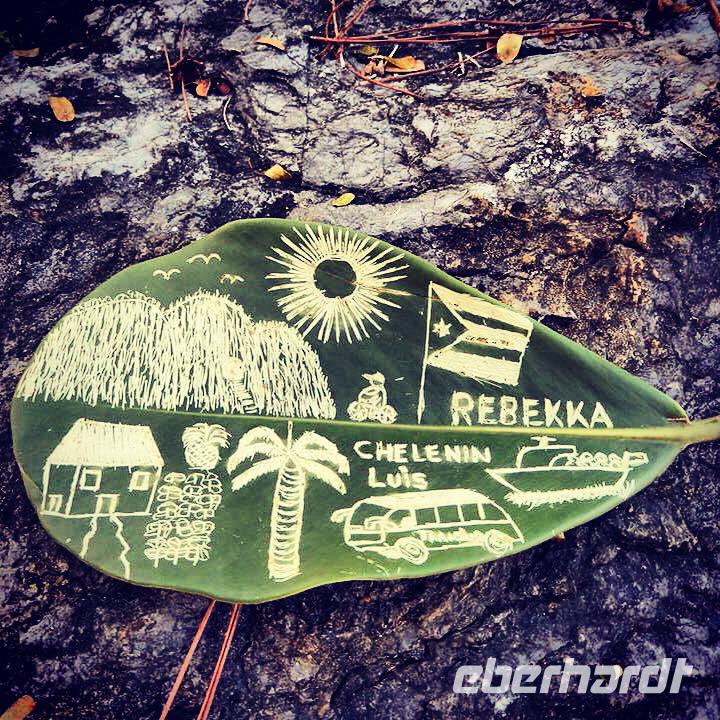 Briefbaumblatt von Luis