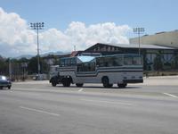 Ein typischer Linienbus 