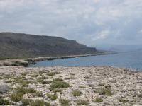 ... an der Ostküste 