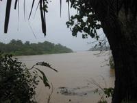 Der Rio Toa nach dem Regen