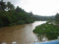 Der Rio Toa in Baracoa