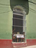 Typisch für Trinidad: die 