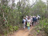 Unsere Gruppe auf der Wanderung im Parque Guanayara