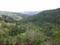 Blick über den Parque Guanayara