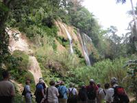 Im Parque Guanayara - am El Rocio