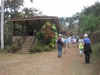 Wir haben des Ende der Wanderung durch den Parque Guanayara erreicht