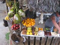 ... frisches Obst, Kakao, Kaffee aus eigener Produktion ...