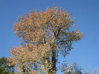 ... und aus der Nähe