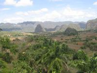 Vinales-Tal 