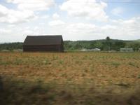 In dieser Scheune werden Tabakblätter getrocknet