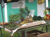 Obst- und Gemüseangebot 