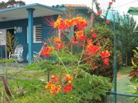 Schönheiten am Wegesrand