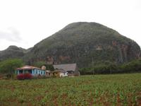 Karstfelsen im Vinales-Tal mit Tabakbauernhof davor