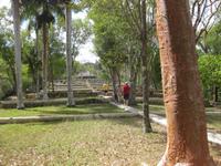 ehemalige Kaffeeplantage