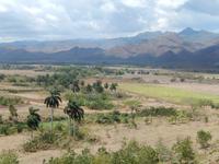 Blick auf Zuckerrohrfelder