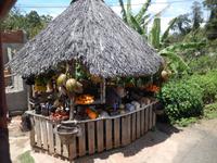 Verkaufsstand am Wegesrand