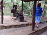 auf der Kaffeeplantage