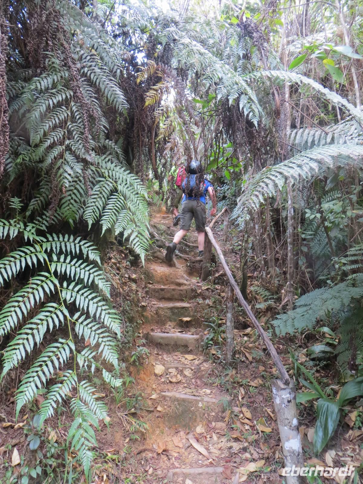 150 Wanderung zum Turquino