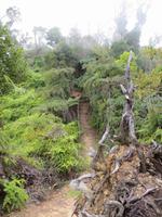 151 Turquino Nationalpark