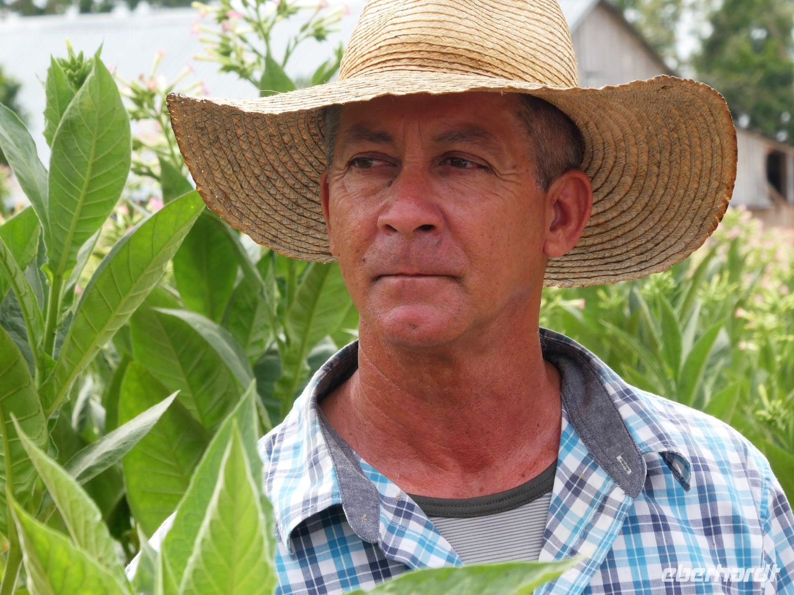 Alejandro Montecina