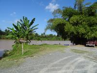 Am Fluss Rio Toa