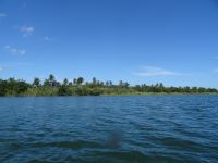 Am Rio Toa