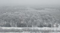 Auf Wiedersehen Winter