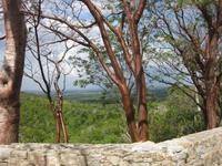 Ausblick und 