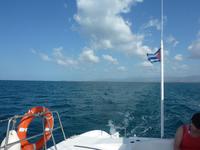 Ausflug Cayo Blanco
