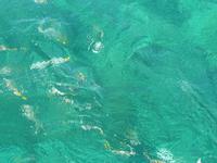 Ausflug Cayo Blanco