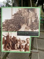 Ausstellung zum 