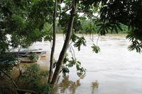 Baracoa - Rio Toa 